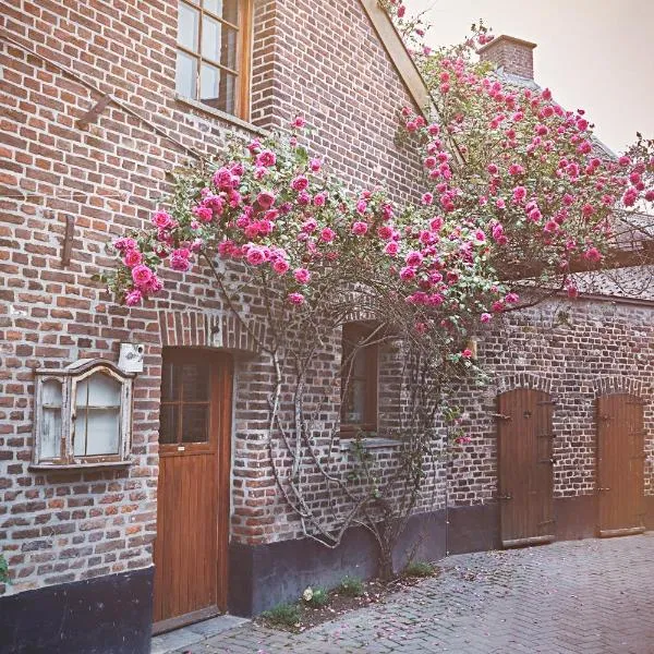 B&B Maas en Heuvel Maastricht, hotel v destinaci Maastricht