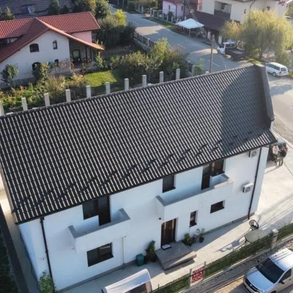 Cazare Vila GOG - Rm Valcea-Salina Ocnele Mari, hotel v destinaci Râmnicu Vâlcea