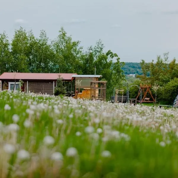 Domki na Górniej Łące - Domek Słowik, hotel en Łazany