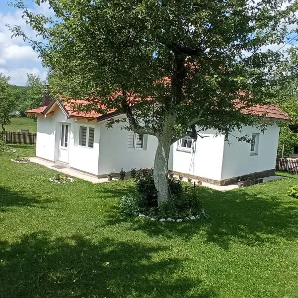 Verina kuća, hotel v destinaci Kosjeric