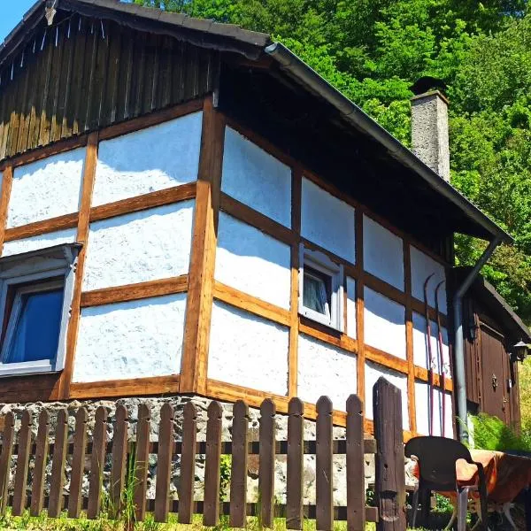 Arode Hütte Harzilein - Romantic tiny house on the edge of the forest, hotel v destinaci Zorge