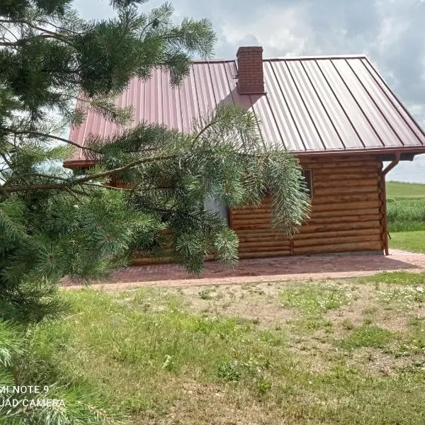 Nad żabim stawem, hotel in Jałowo