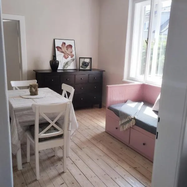 Apartmány Chmelničky, hotel em Vodňany