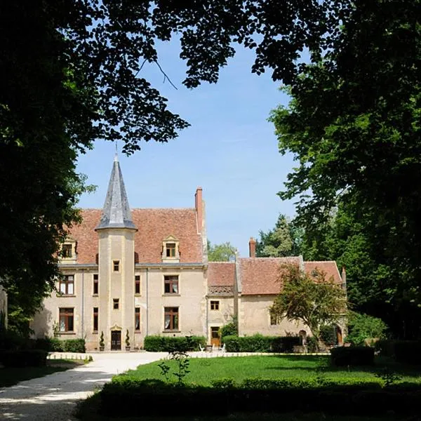 Château - Hôtel Le Sallay, hotel in Vereaux