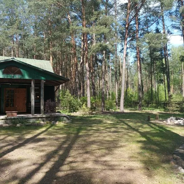 Fantastyczny domek w lesie, hotel v destinaci Długosiodło