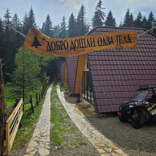 Oaza Jela, hotel in Mitrovac