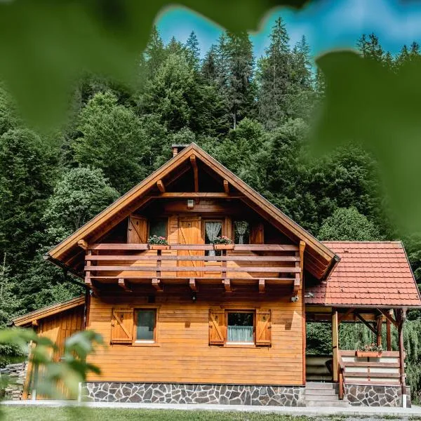 Central Chalet, hotel v destinaci Vărşag