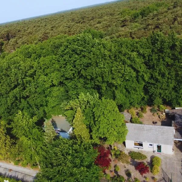 Cozy Forest Cabin, Fenced Garden, Peace & Privacy, hotel v destinaci Luyksgestel