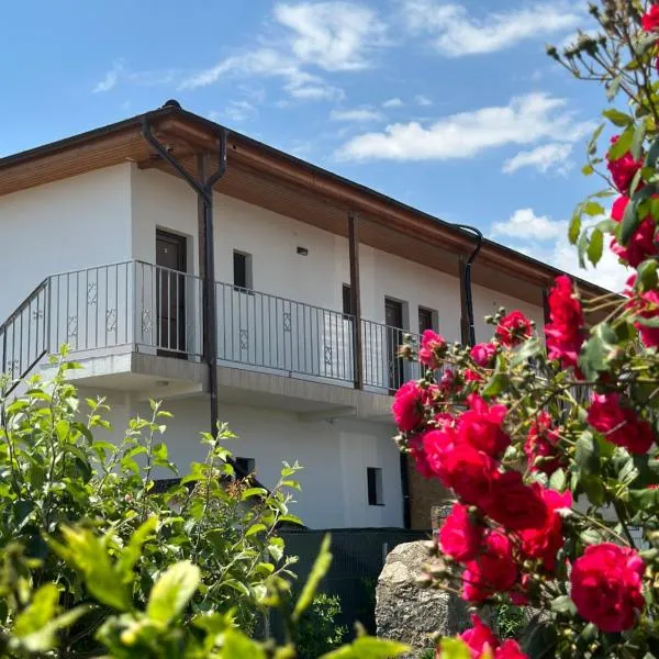 Vila Bloom, hotel v destinaci Vama Veche