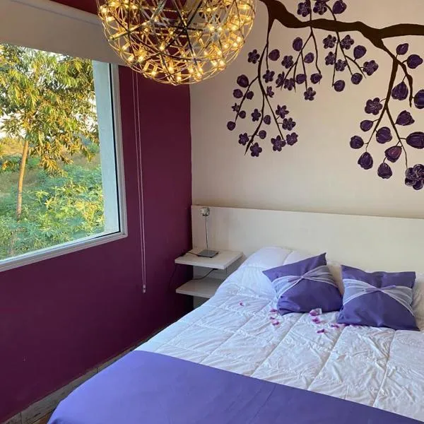 Posada de Sofi, hotel in Concordia