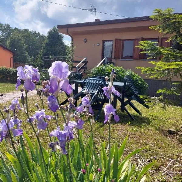 Chalet Grazia, отель в городе Valgiano