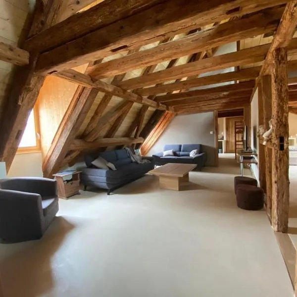 Maison de charme en Alsace - IN VINO VERITAS - 12 personnes, hotel v destinaci Gueberschwihr