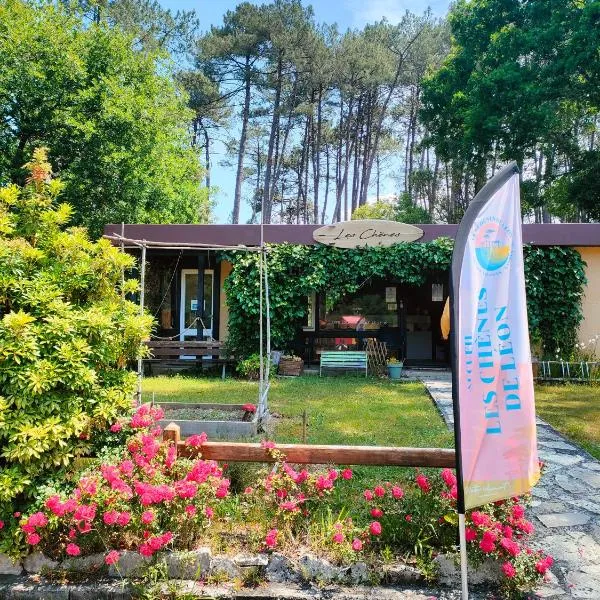 Village vacances les Chênes de Leon, hotel en Léon
