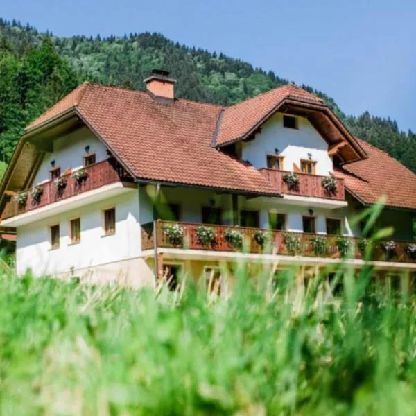 Na Logu - Farm Stay Ambrož Gregorc, hotel v destinaci Solčava