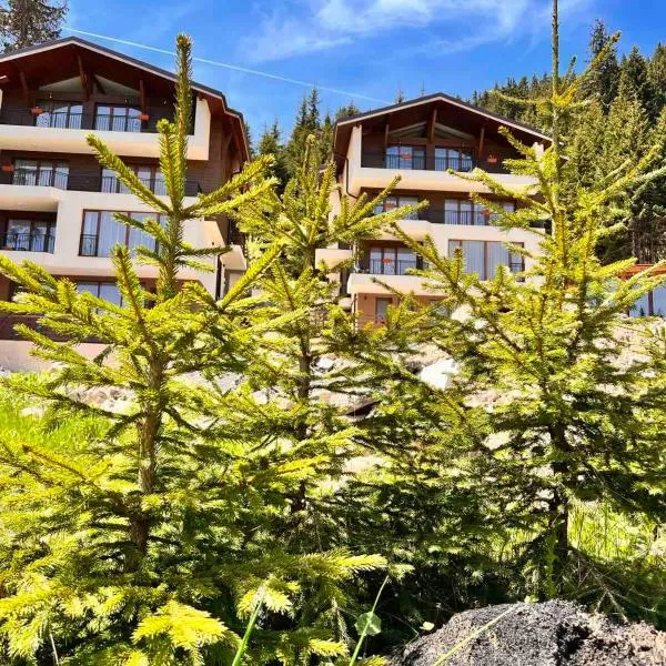 Boutique Villas Murgavets Pamporovo, Hotel in Pamporowo