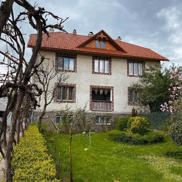 Вілла де Кампо, hotel v destinaci Chynadiyovo