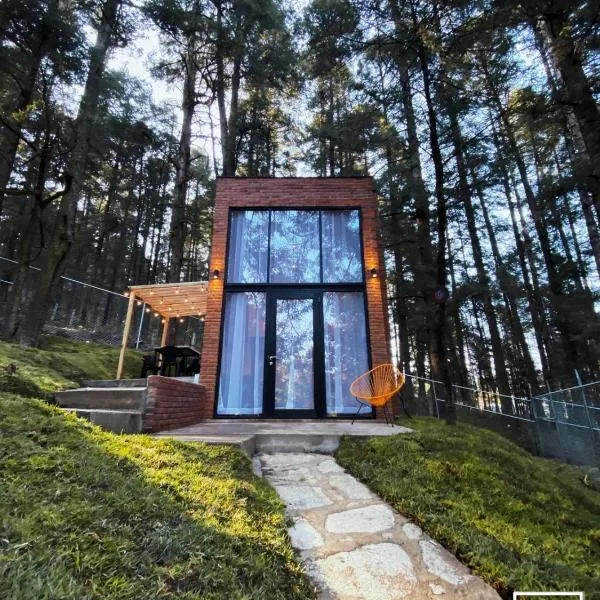 Cabañas Boutiques TinyChillHouse โรงแรมในมิเนราล เดล ชิโก