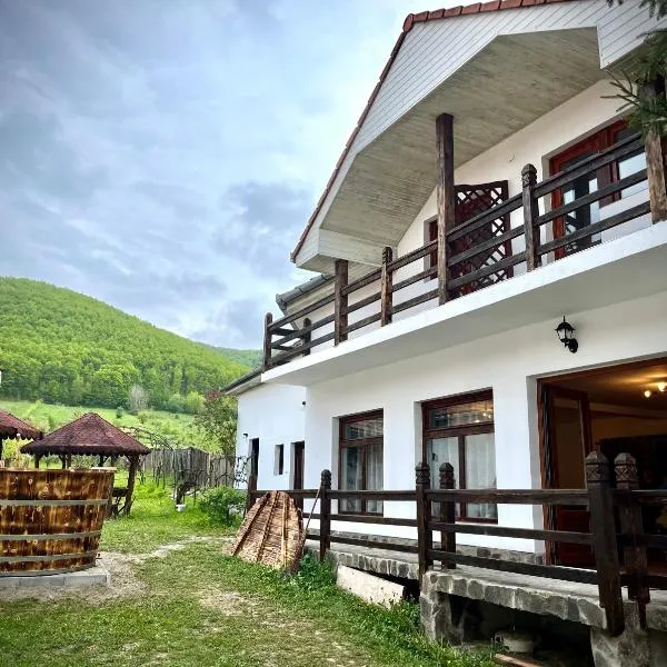 Casa Ariana, hotel en Rîmeţi