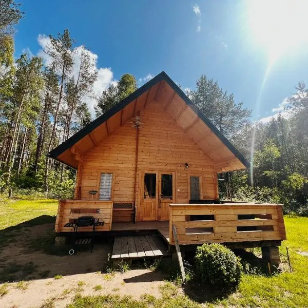 Domek w lesie na Mazurach, hotel en Orzyny
