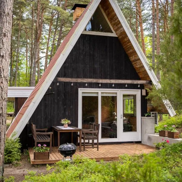 Maro Guesthouse with Sauna, hotel in Vääna-Jõesuu