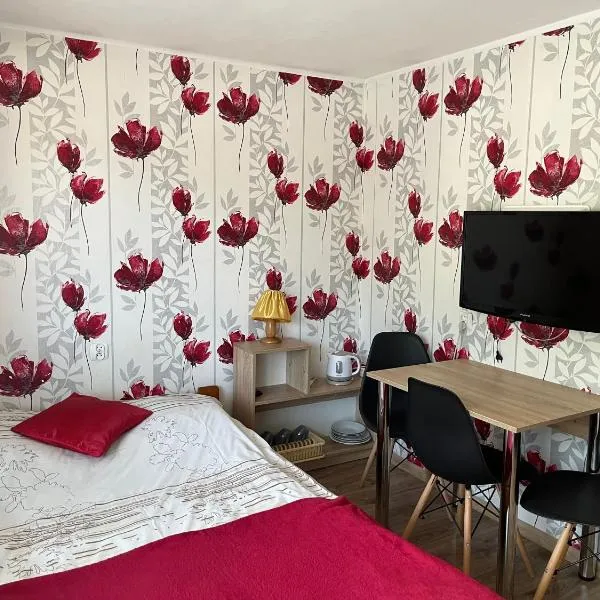 Willa Safra Szczawnica, hotel a Szczawnica