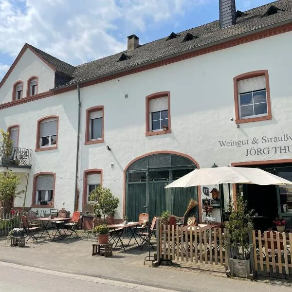 Weingut und Gästezimmer Jörg Thul – hotel w mieście Detzem