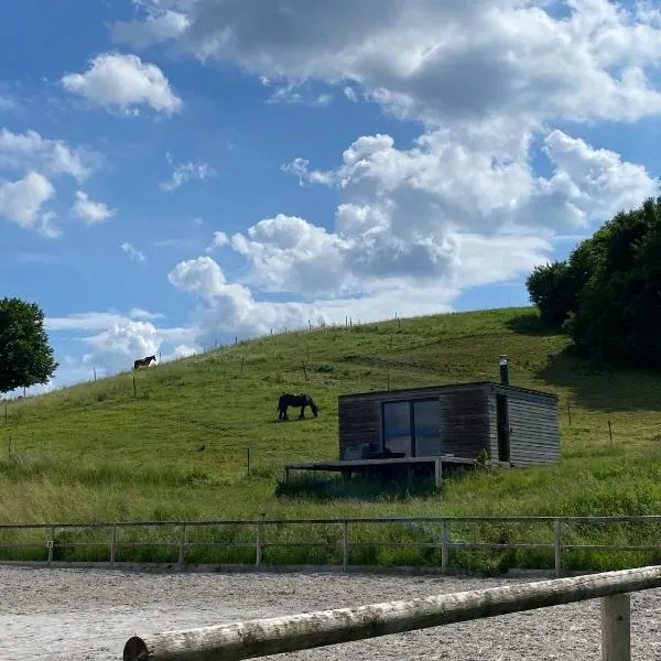 Viesnīca Apartma Hisa konj pilsētā Pernica