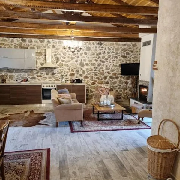 Stone House - Πέτρινο Σαλέ, hotel in Koríni