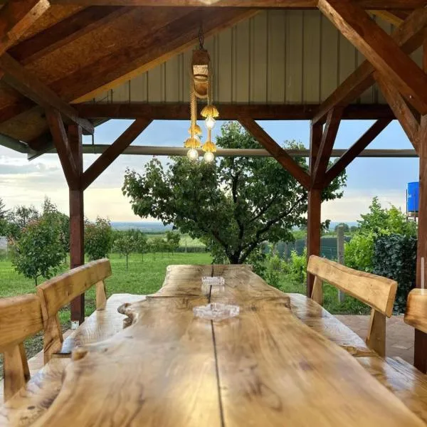 Mila Vila, Fruška Gora, hotel v destinaci Irig