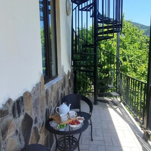Guest House Bochora, hotel in Borjomi