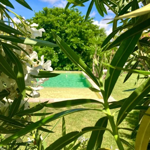 Le Patio, chambres d hôtes pour adultes en Camargue, possibilité de naturisme à la piscine,、エマルグのホテル