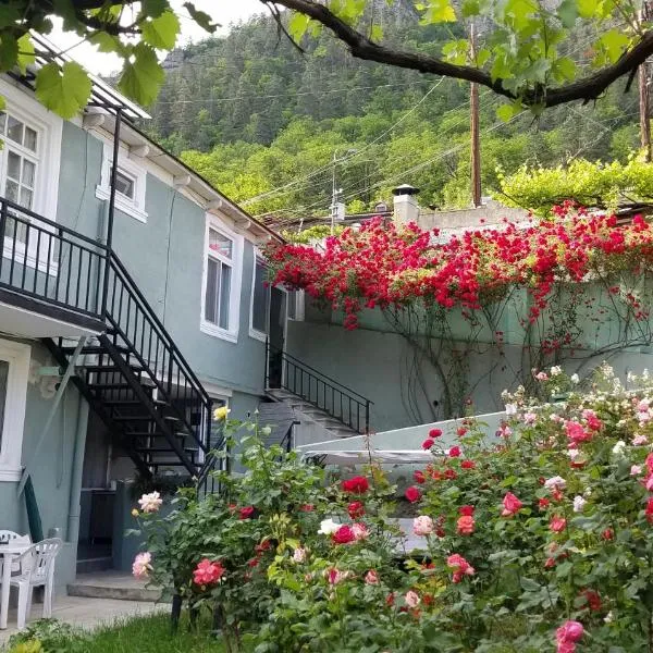 Guest House Green Rose, hotel v destinaci Bordžomi