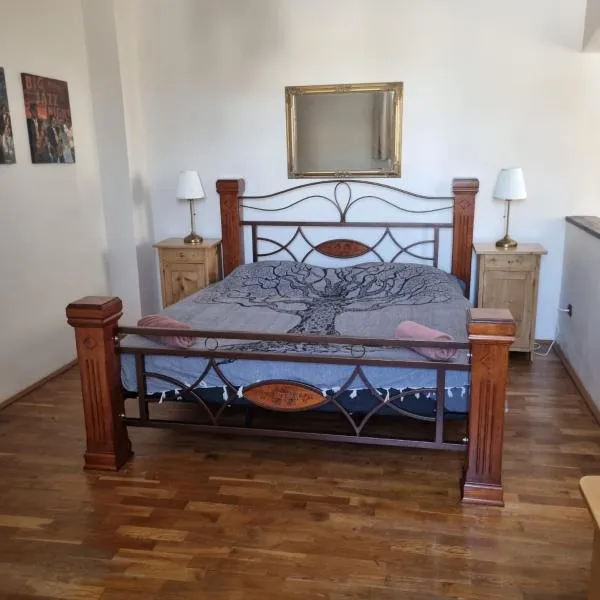 Vila Lucia - Apartmán 3, hotel in Plzeň