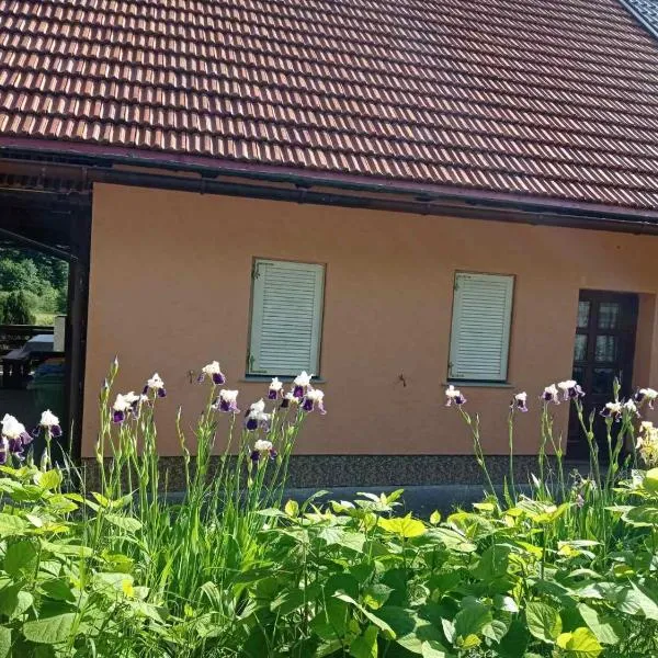 Apartman Rozmari, Hotel in Lokve