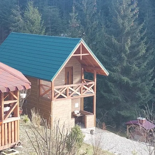 Viesnīca Котедж у Ліску 2 pilsētā Vorohta