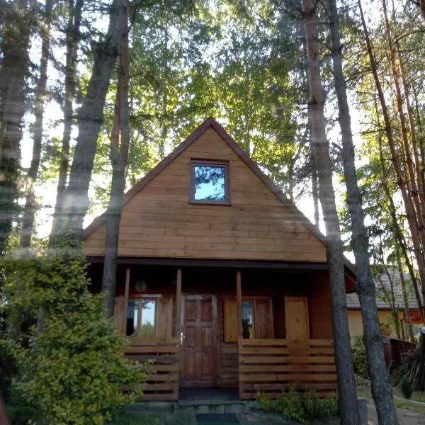 Domek Dzięciołek, hotel di Życiny