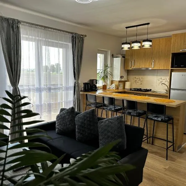 Apartament Elena, hotell i Ocna Sibiului