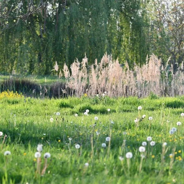 L'oiseau Blanc, hotel in Le Plantay