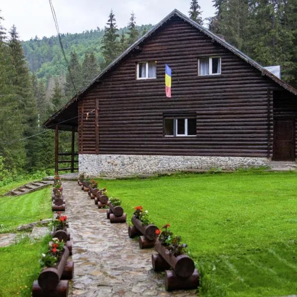 Viesnīca Cabana Patru Brazi pilsētā Stona de Vale