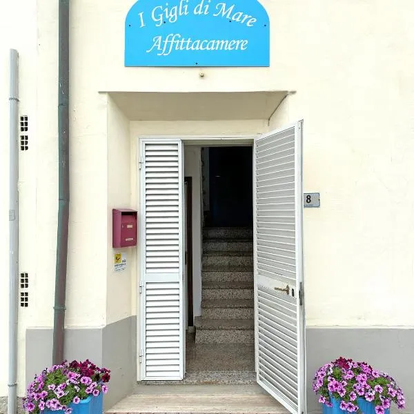 Affittacamere I Gigli di Mare, hotel Marina di Bibbonában