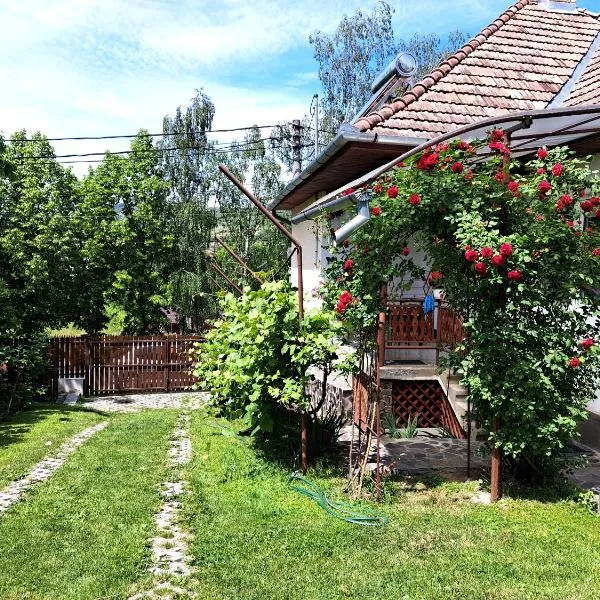 Casa de vacanta Zsenik Vendeghaz โรงแรมในCîmpu Cetăţii