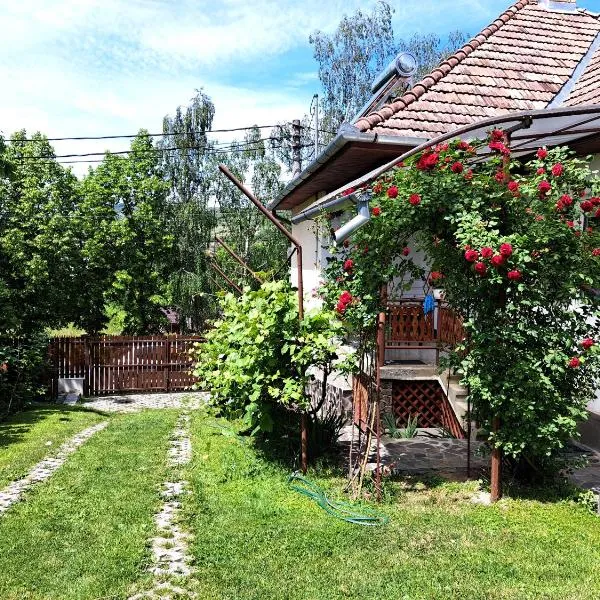 Casa de vacanta Zsenik Vendeghaz, khách sạn ở Cîmpu Cetăţii