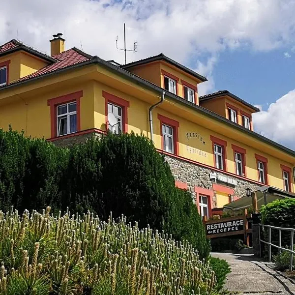 Pension Vyhlídka, hotel v destinaci Přední Výtoň