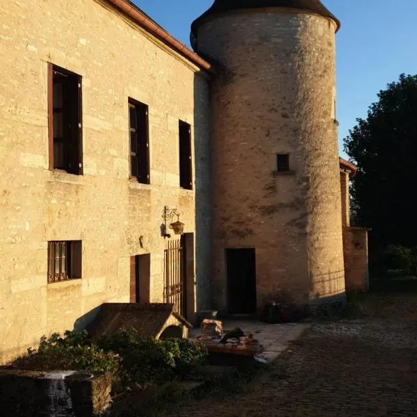 MAISON EN PIERRE ATYPIQUE, hotel in Charmes