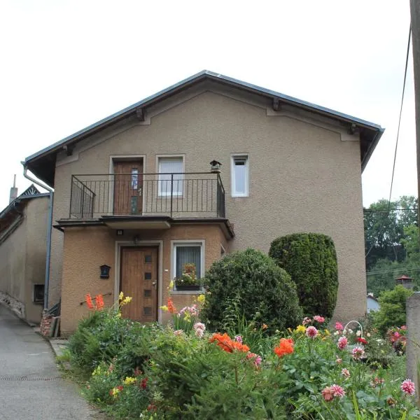 Apartmán Česká Metuje, hotel in Česká Metuje