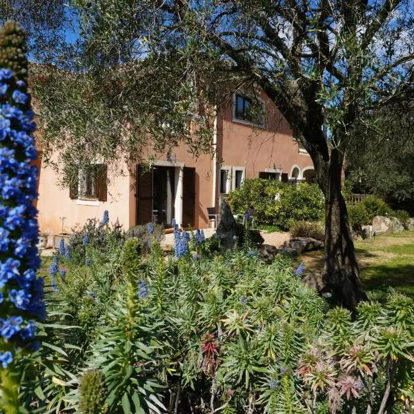 Chambre d'Hôtes Domaine Pero Longo、サルテーヌのホテル