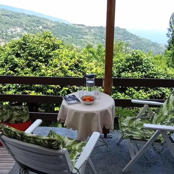 Beautiful Pelion Guesthouse with Spectacular Views, hotelli Anilio Pelionissa