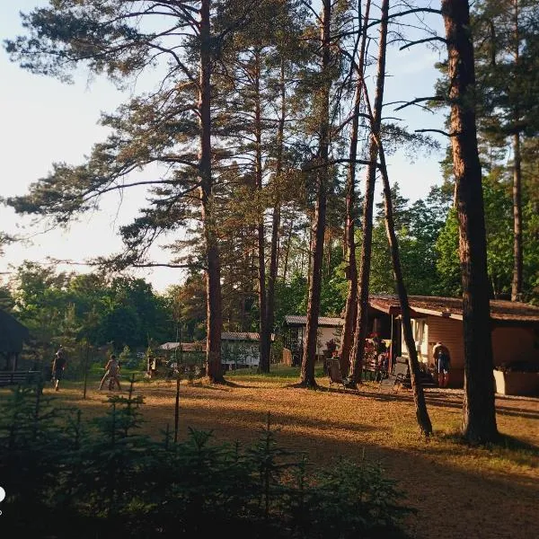 Sosnowy Raj - domki na Mazurach, hotel di Dłużec