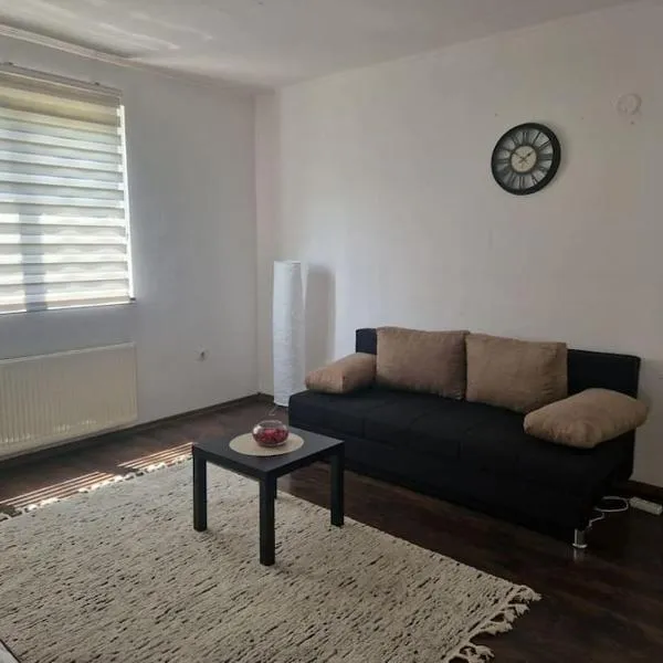 Apartman Sofija, hotel di Plavsići