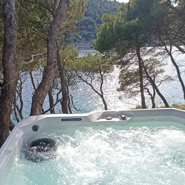 Apartment by the sea Žirje with private heated hydromassage pool, hotel em Žirje